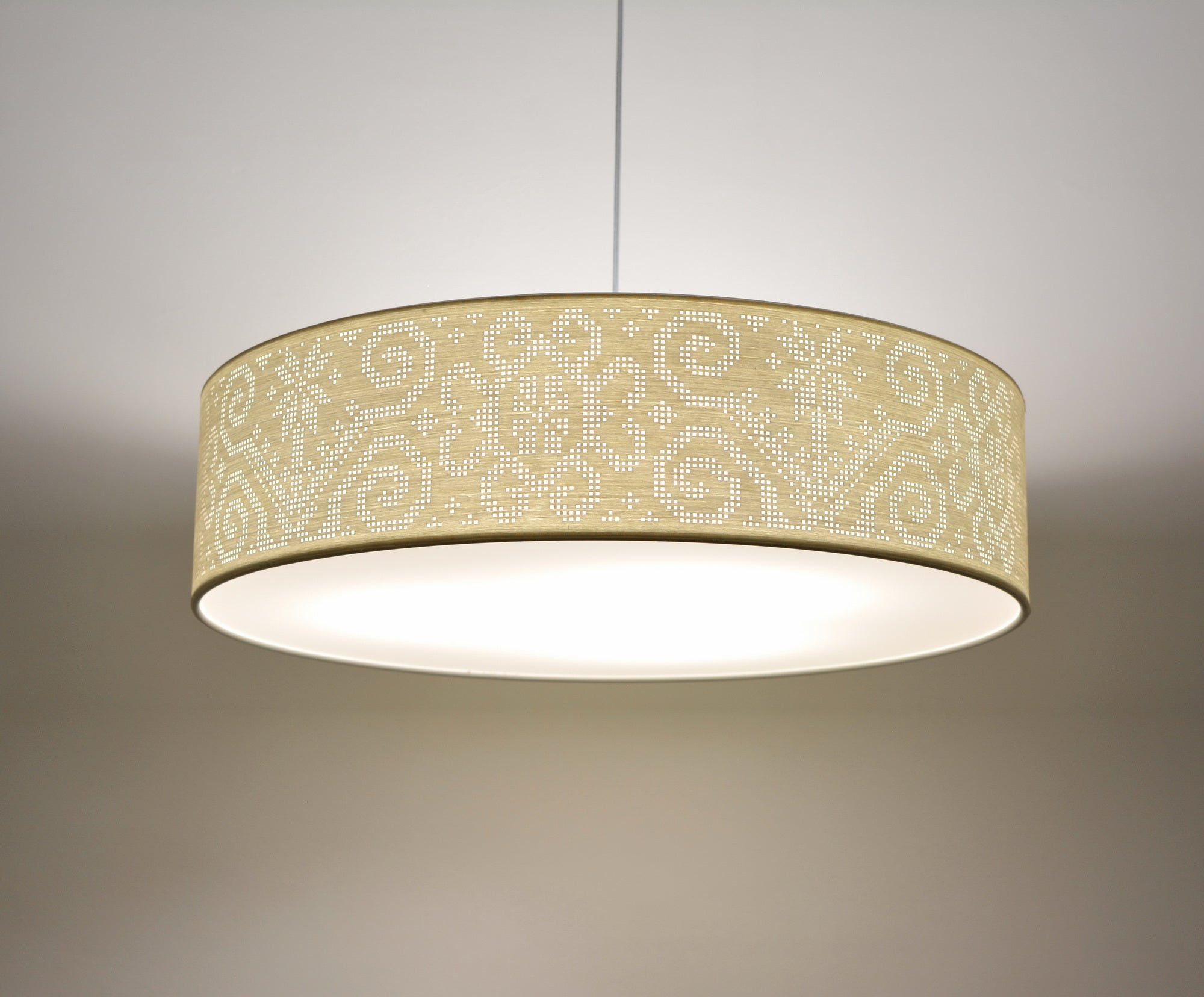 Pakabinamas šviestuvas RAGAINĖ (žemas)