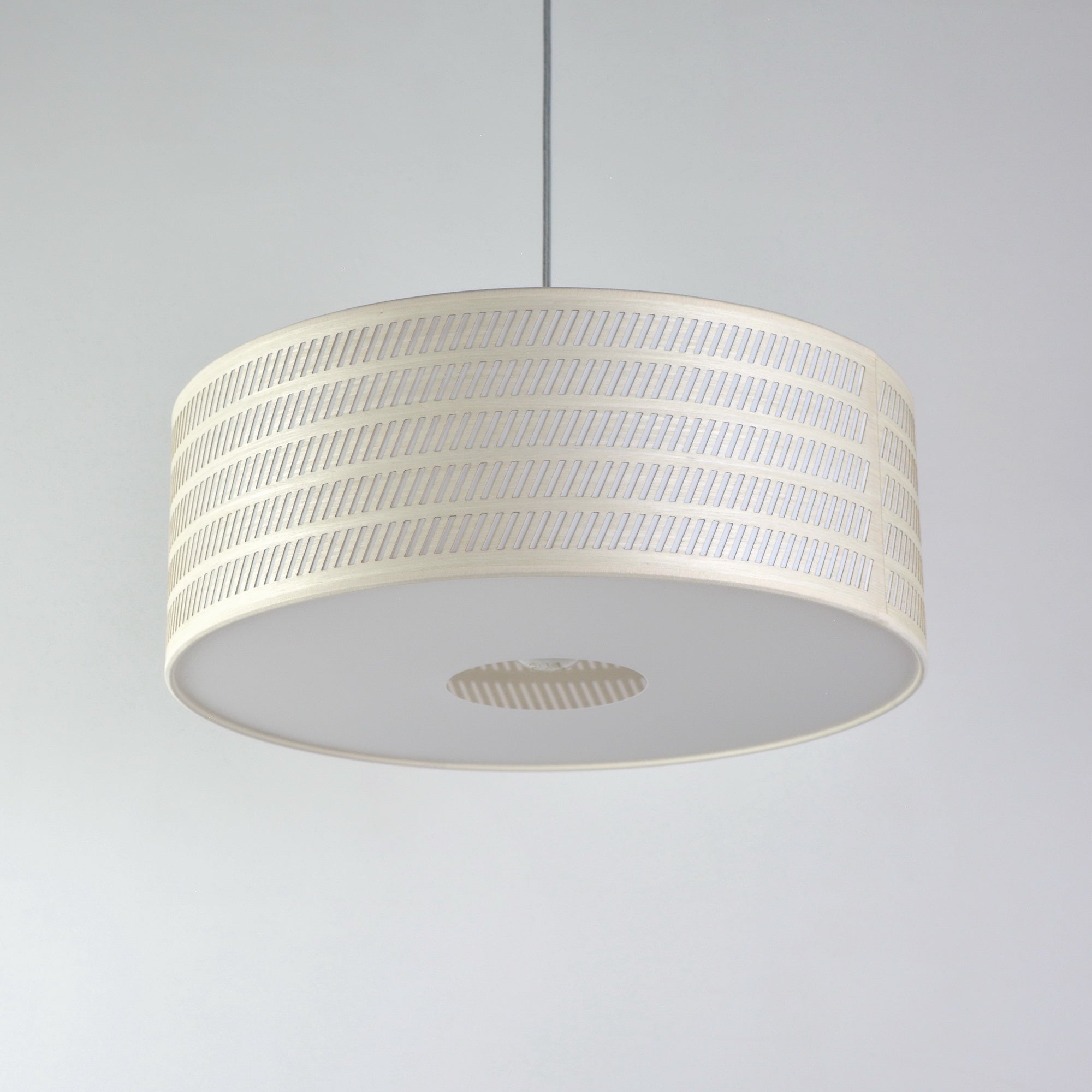 Pakabinamas šviestuvas RUOŽELIAI (žemas)