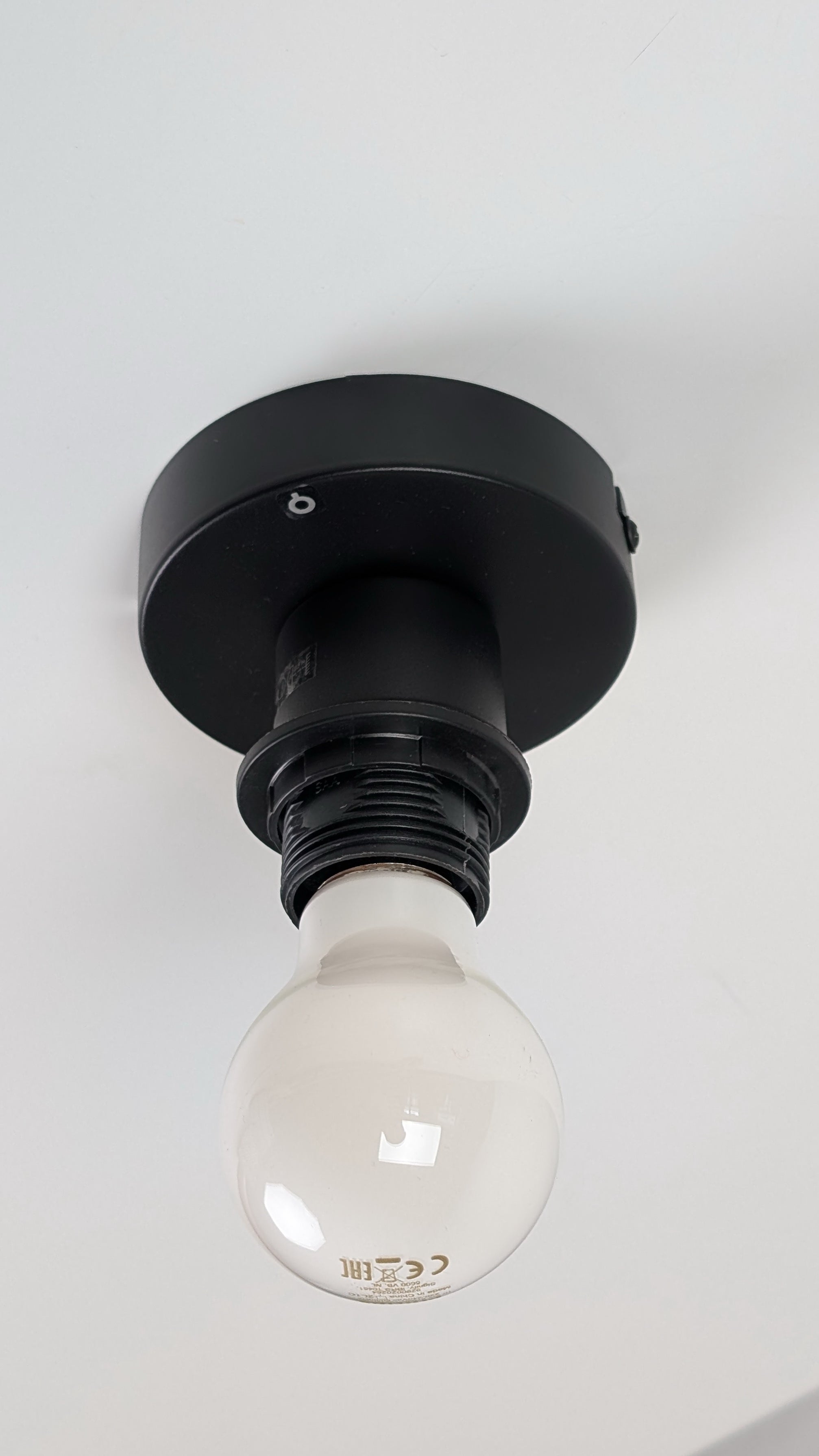 Ceiling lamp OLIVE TREE