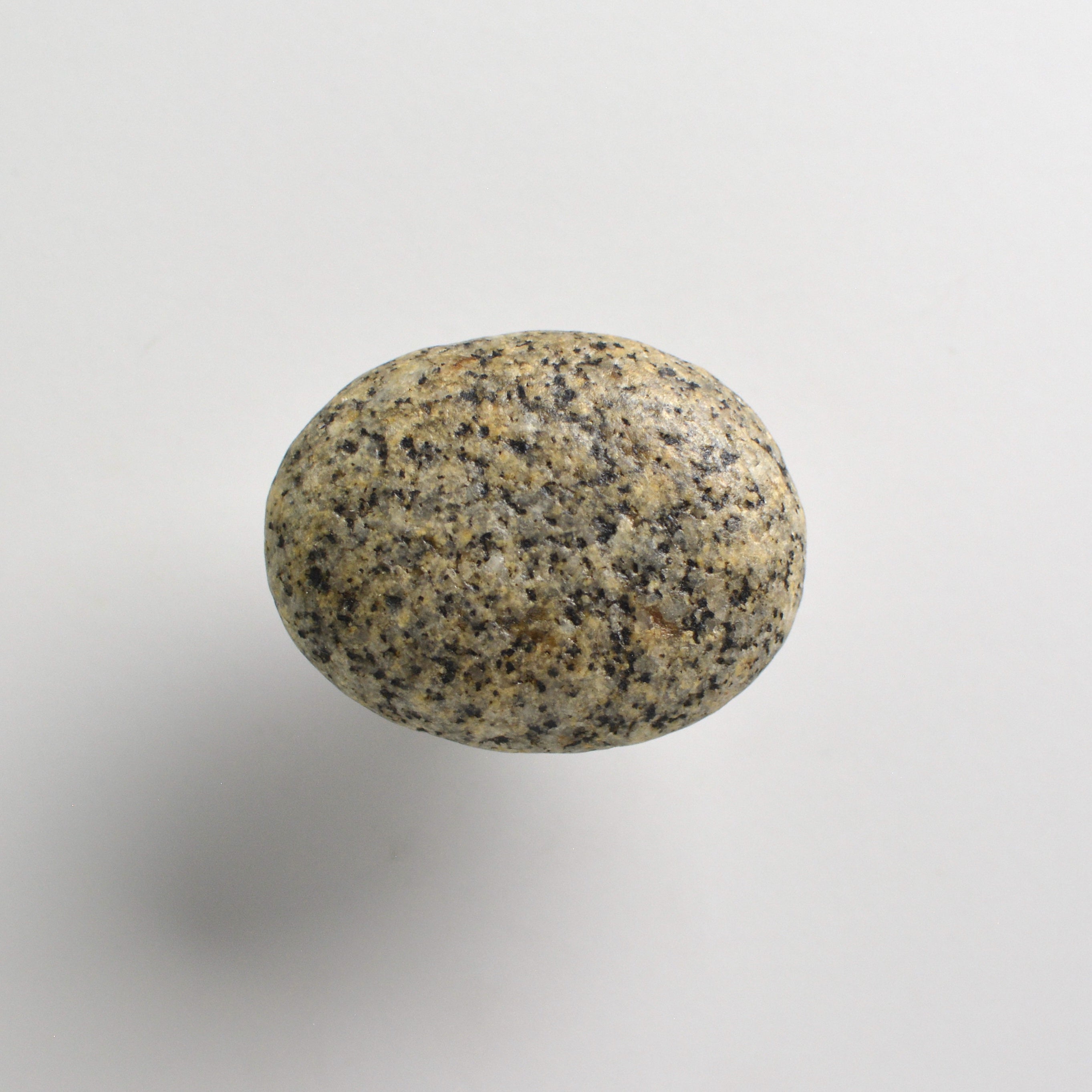 Pebble knob / hook WARM GRAY VARIED - oval