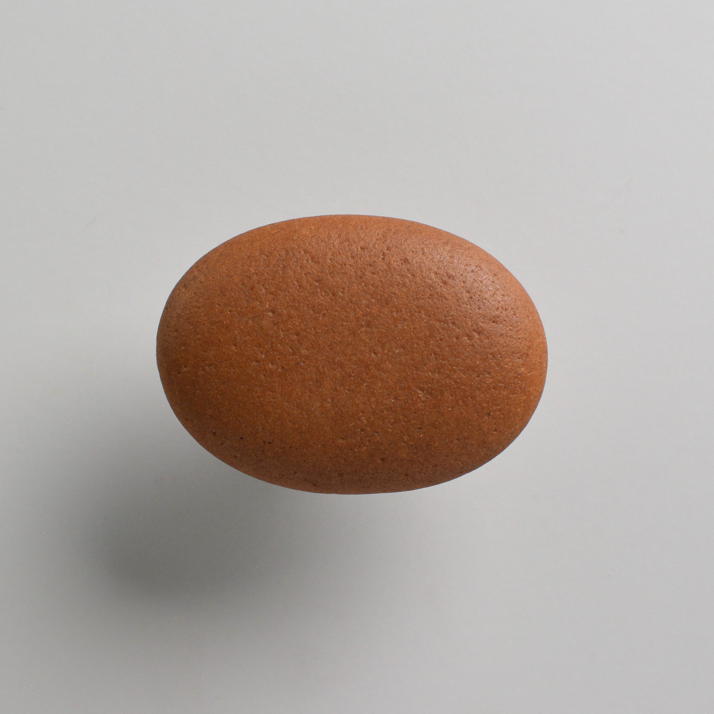 Pebble knob / hook TERRACOTTA - oval