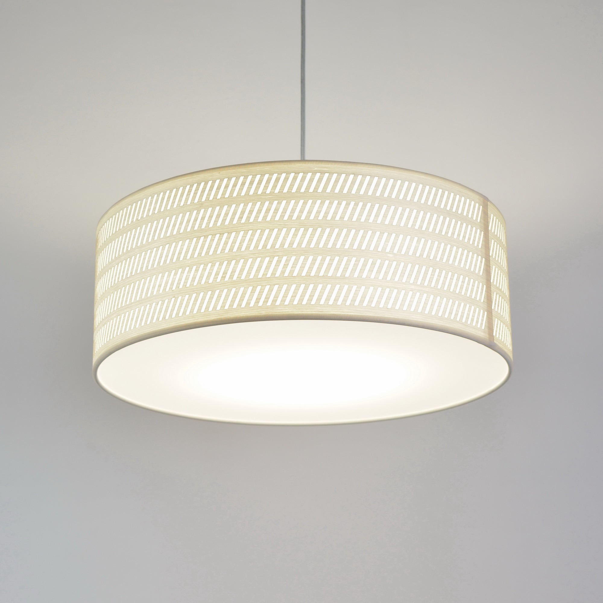 Pakabinamas šviestuvas RUOŽELIAI (žemas)