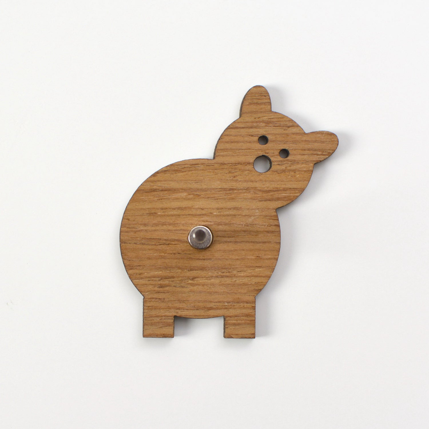 Magnetic instrument VIZGIS PIGLET